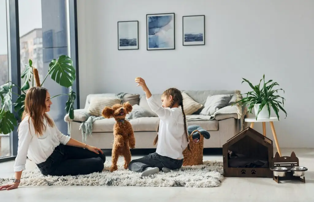 blog-Airco
